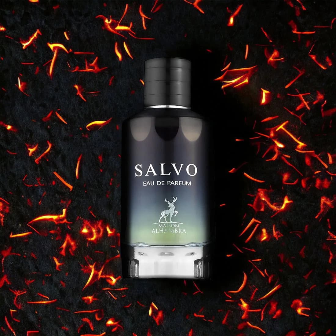 Salvo